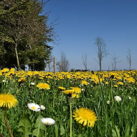 Al Vecchio Fienile Bed & Breakfast