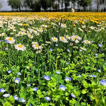 Al Vecchio Fienile * San Michele al Tagliamento