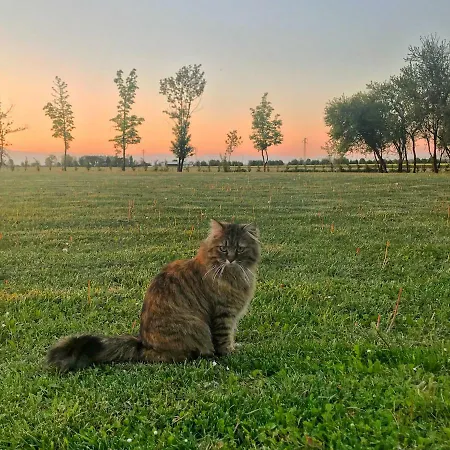 Bed & Breakfast Al Vecchio Fienile San Michele al Tagliamento
